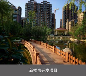 三層升降橫移機(jī)械式立體停車設(shè)備新樓盤開發(fā)項(xiàng)目